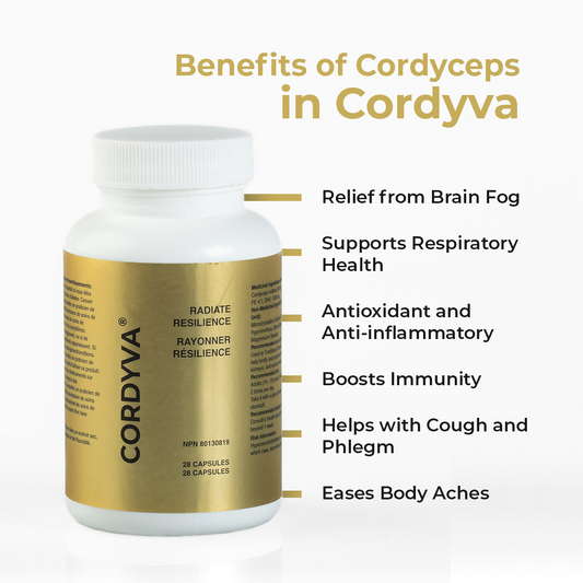 Cordyva® Supports Breathing, Energy and Clarity