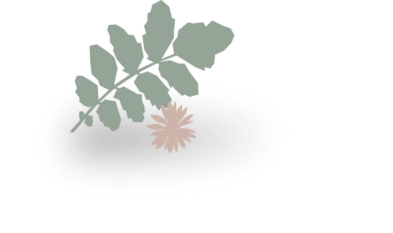 Decorative leaf and flower design on a white background